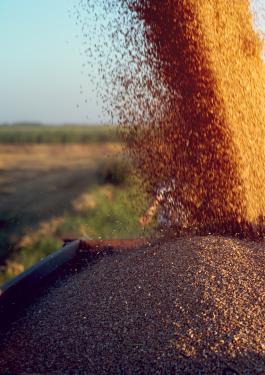 Harvest monitoring by Bureau Veritas