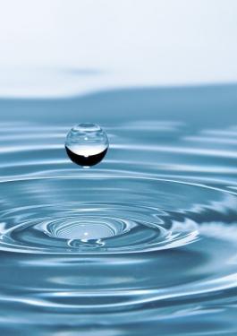 water testing services