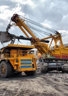 bureau veritas Minerals Processing  mining services