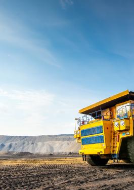 bureau veritas MINING