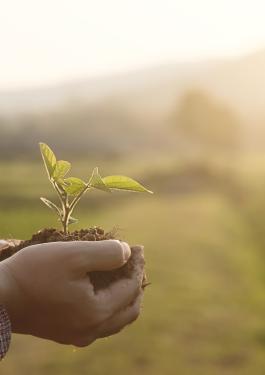 BUREAU VERITAS Approvisionnement responsable  certification