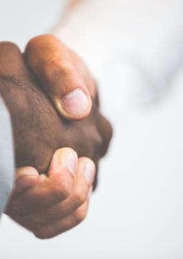 bureau veritas certification, audit & management services 