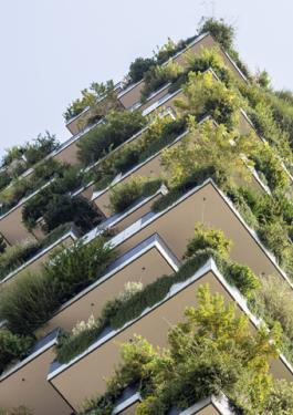 bureau veritas environmental due diligence