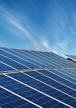 bureau veritas environmental due diligence