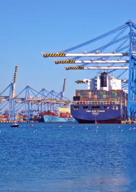 bureau veritas processus d'importation