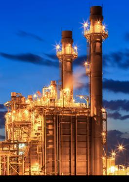 bureau veritas power & gas distribution