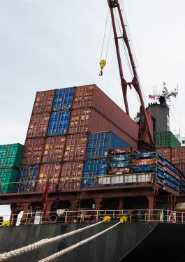 bureau veritas preshipment inspection (voluntary)