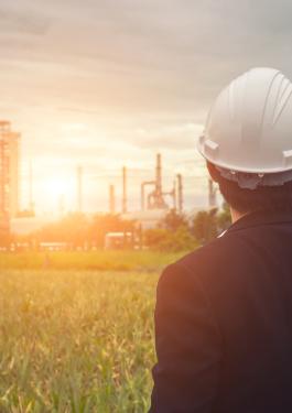 bureau veritas conseil & performances qualité hygiène sécurité environnement