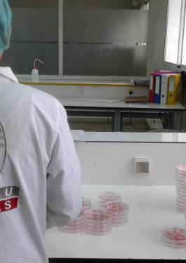 our laboratories in africa bureau veritas