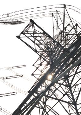 bureau veritas asset integrity management