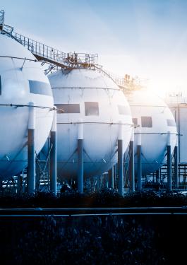 bureau veritas transportation & storage