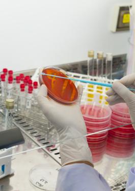 food laboratory testing