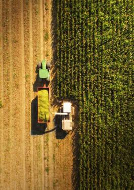 Production mapping & benchmarking by satellite/drone