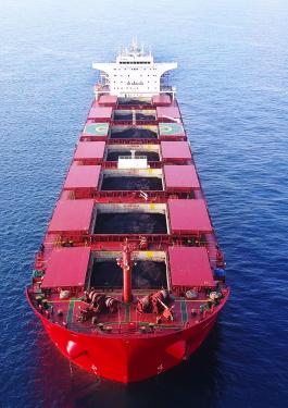 bureau veritas Coal Superintending Services