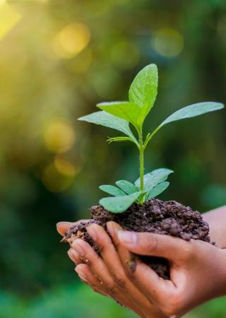 a woman is holding a plant in her hands
