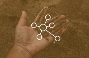 bureau veritas pedological study & mapping