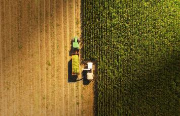 Bureau Veritas provides agriculture services in Africa