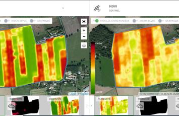 ROTATIONAL GRAZING MEADOW