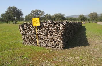 PAFC certified woods