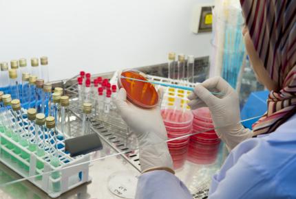 bureau veritas FOOD - LABORATORIES