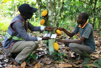 sustainable certification