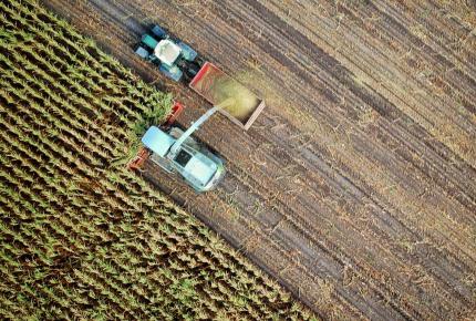 field agriculture food production