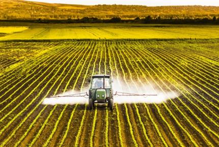 Field food production